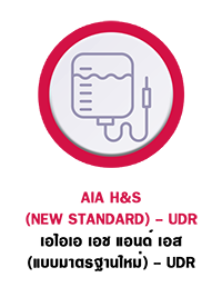 AIA_H&S_(NEW STANDARD)_UDR